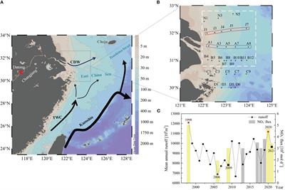 Massive nutrients offshore transport off the Changjiang Estuary in flooding summer of 2020